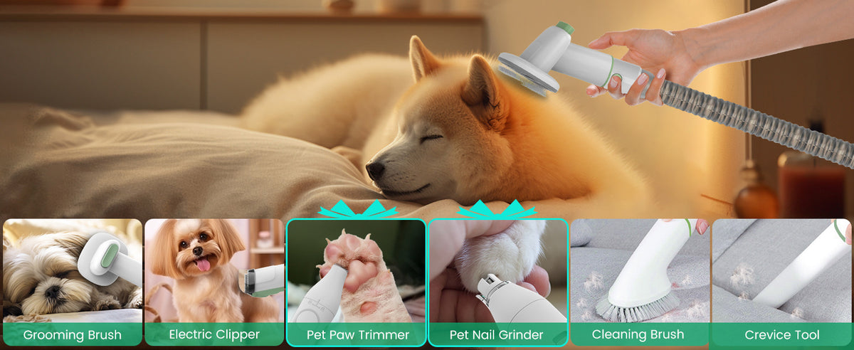 Pet Vacuum Grooming & Hair Remover Machine